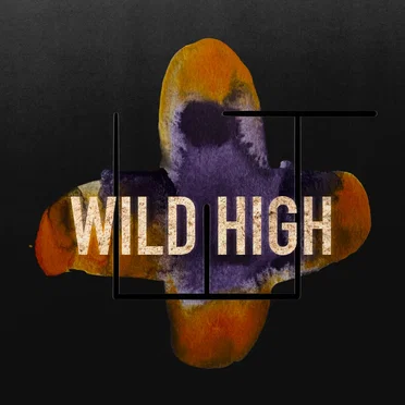 Wild High by Штадт - album cover