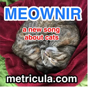 Meownir
