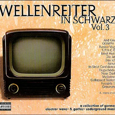 Wellenreiter in Schwarz, Volume 3 by Various Artists - album cover