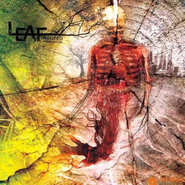 Rooted From Within by Leaf - album cover
