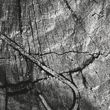 Live at the Electric Gathering Festival, Stockholm Sweden. August 12th 2001.