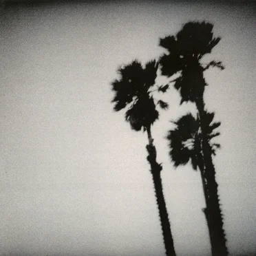 Blackberry Belle by The Twilight Singers - album cover