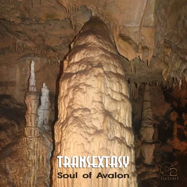 Soul of Avalon