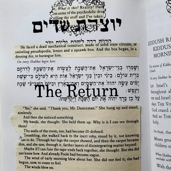 The Return (השיבה)