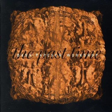 The Past Time by Basa-Papesch Workshop - album cover