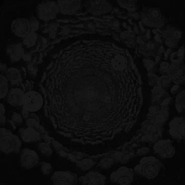 Prime Radiant by The Keraunograph Ensemble - album cover