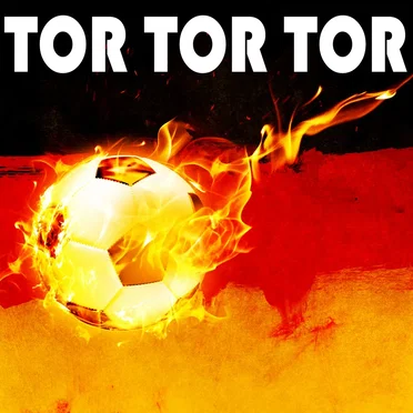 Tor Tor Tor