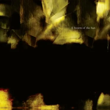 The King of Everything by A Swarm of the Sun - album cover