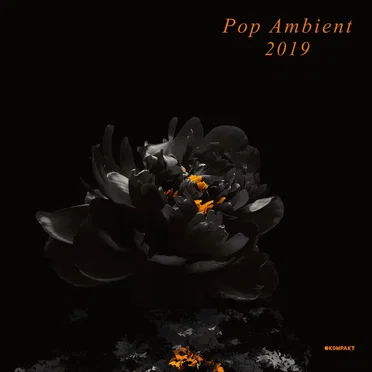 Pop Ambient 2019 by Various Artists - album cover