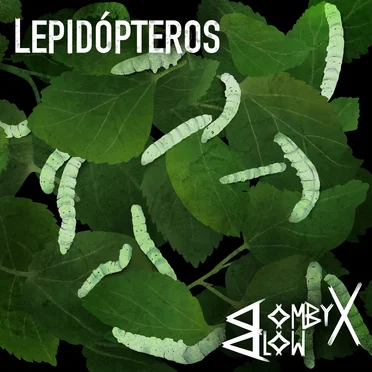 LEPIDÓPTEROS