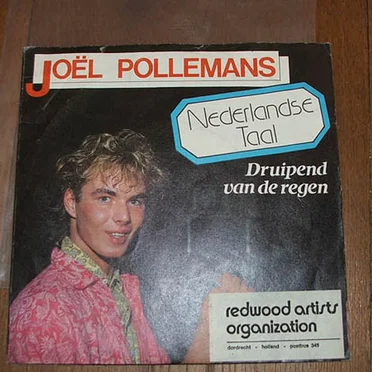 Nederlandse Taal by Joël Pollemans - album cover