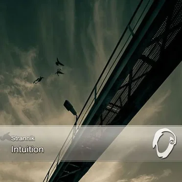 Intuition