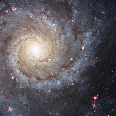 M74