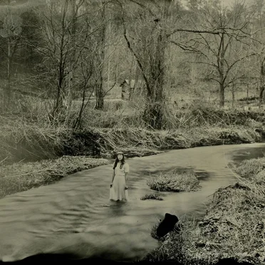 Shadows in the Shallows