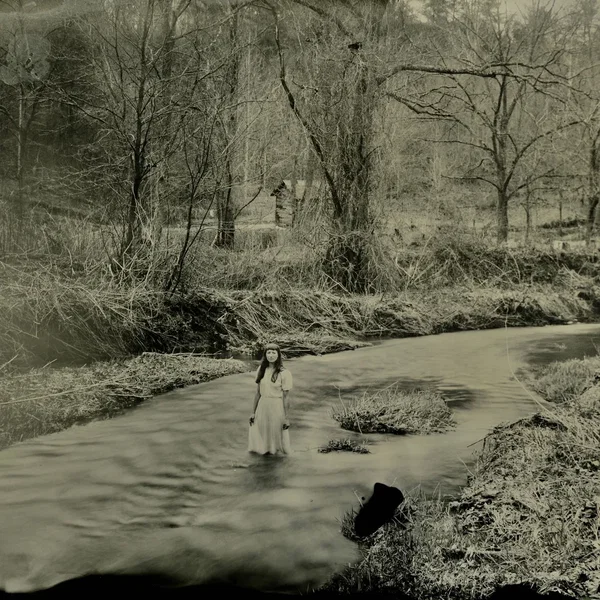 Shadows in the Shallows