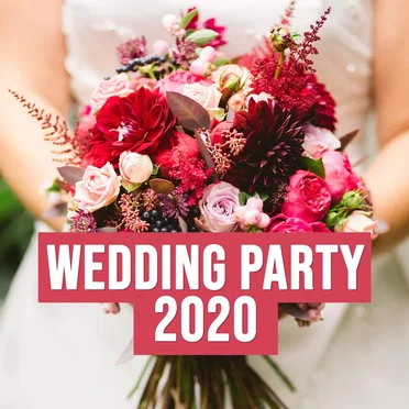Wedding Party 2020 by Various Artists - album cover