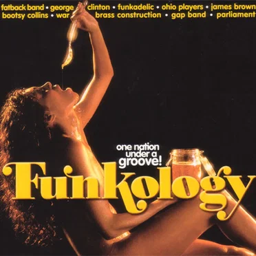 Funkology: One Nation Under a Groove! by Various Artists - album cover