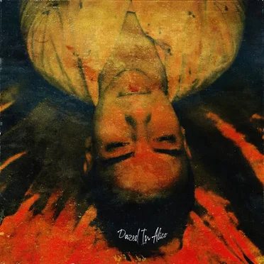 Dazed in Alico by Daniel Delacour - album cover