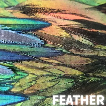Feather