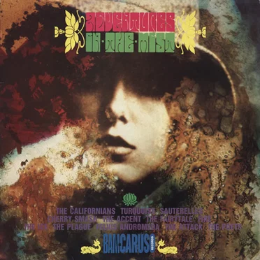 Rubble, Volume 11: Adventures in the Mist by Various Artists - album cover