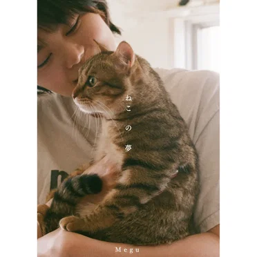 ねこの夢
