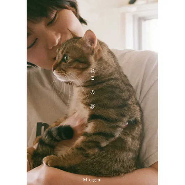 ねこの夢