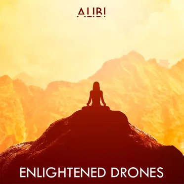 Enlightened Drones