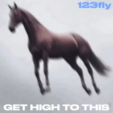 GET HIGH TO THIS by 123fly - album cover