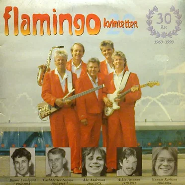 Flamingokvintetten 20