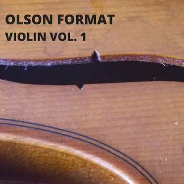 Violin vol. 1 by Olson Format - album cover