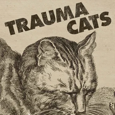 Trauma Cats by Trauma Cats - album cover