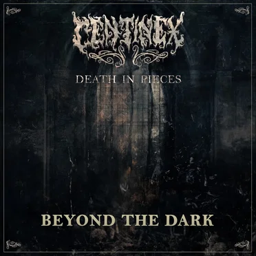 Beyond the Dark