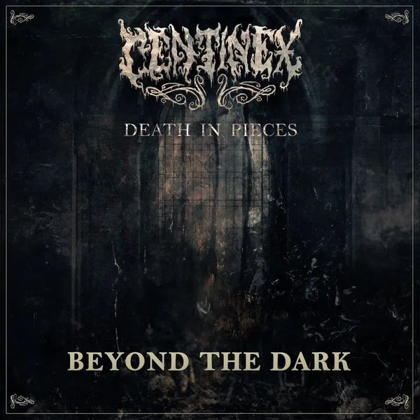 Beyond the Dark