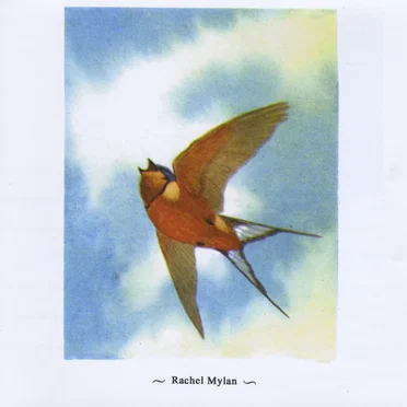 The Euclid EP by Rachel Mylan - album cover