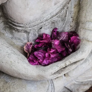 The Zen of Drone: Simply Beautiful Drone Poems, Vol. 2