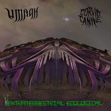Umbah