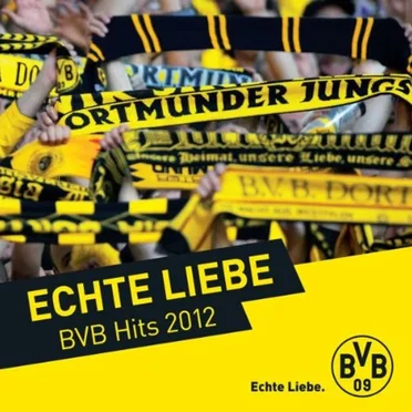 Echte Liebe: BVB Hits 2012 by Various Artists - album cover