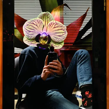 In Bloom by Ethan Langemo - album cover