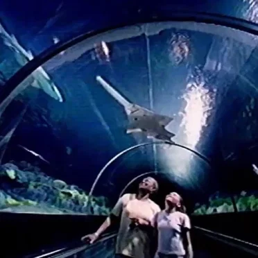 Aquarium I