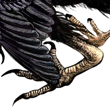 archaeopteryx ancient bird time dial prod the baobab tree