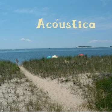 Acoustica by Precious Cargo - album cover