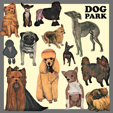 Dog Park by Dog Park - album cover