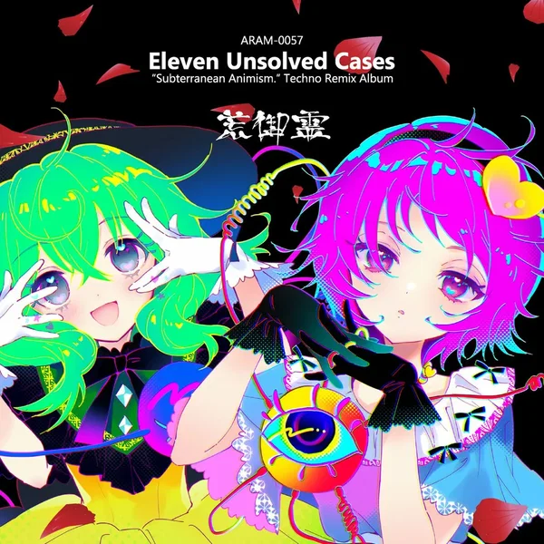 Eleven Unsolved Cases