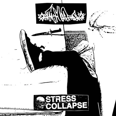 Stress Collapse split by Family Vacation - album cover