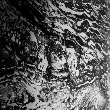 Walker Harris English