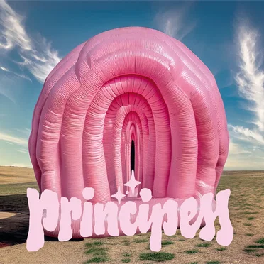 Principess by Principess - album cover
