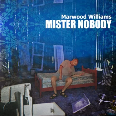 Mister Nobody by Marwood Williams - album cover