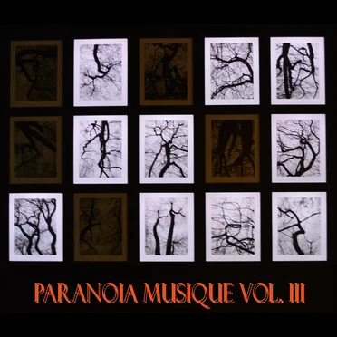 Paranoia Musique Vol. 3 by Various Artists - album cover