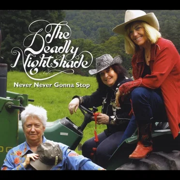 Never Never Gonna Stop
