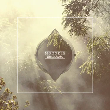 Birds Swirl by Monokle - album cover